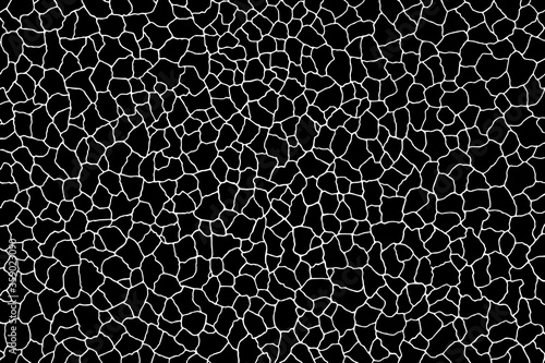  Background from cracks, scratches,  chips. Grunge texture black and white