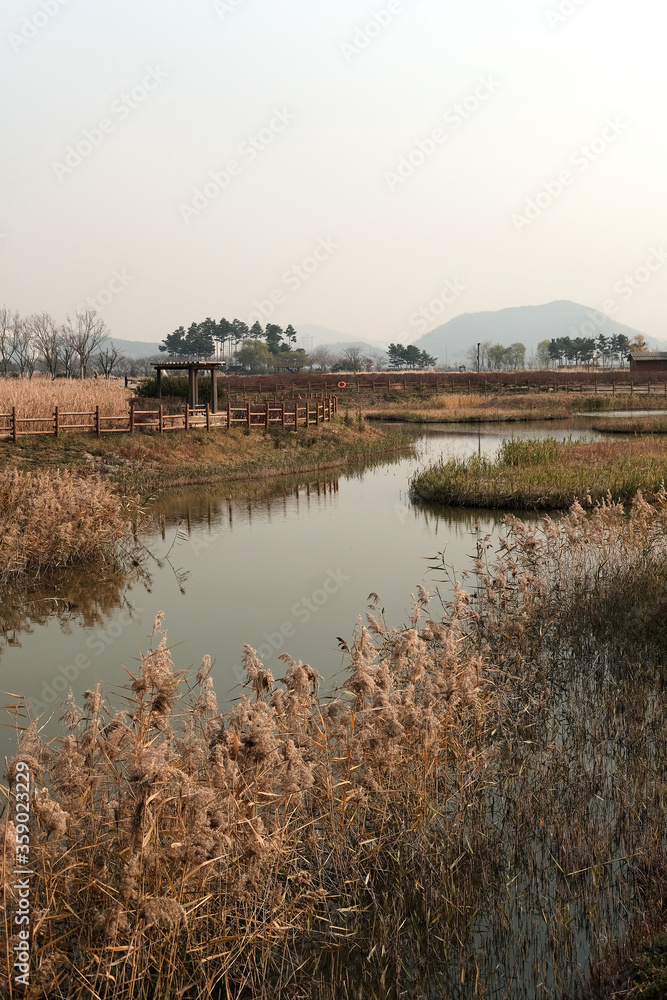 Ecological park. Gaetgol Eco Park in Siheung-si, South Korea.
