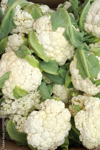 fresh cauliflower on the market