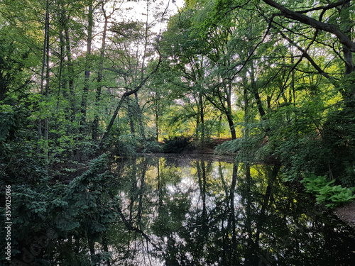 Pond in the Berlin Tiergarten park.