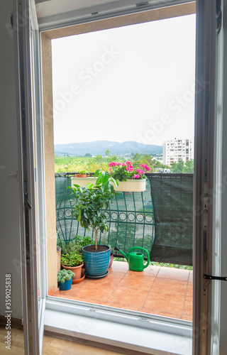herb and flower garden on balcony