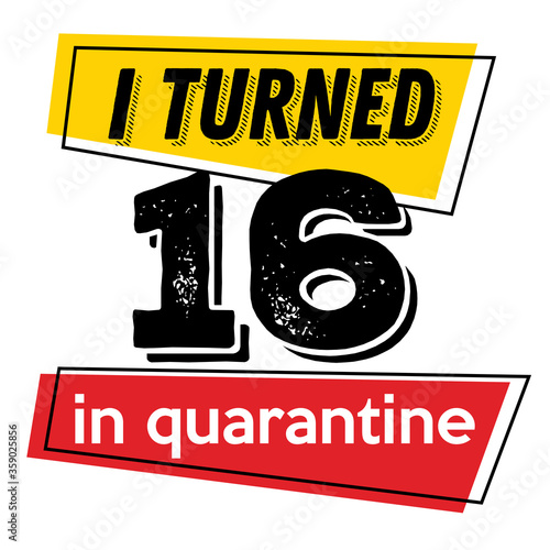 I turned 16 in quarantine vector quote