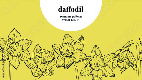 Daffodil seamless pattern, vector outline