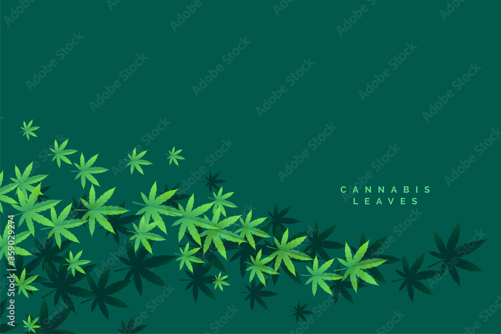 stylish marijuana and cannbis floating leaves background