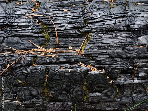 Background of the burned-down logs, close-up, beautiful texture
