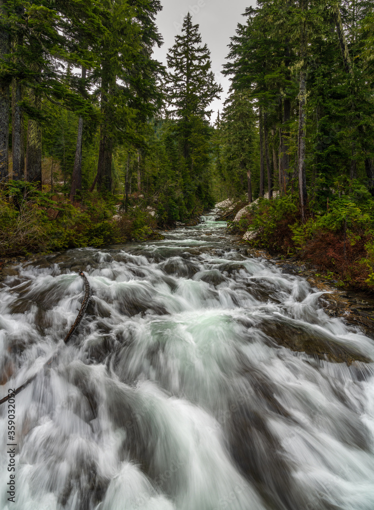 Nisqually River Flowing Strong At Mount Rainier National Park Nisqually River Flowing Strong At Mount Rainier National Park