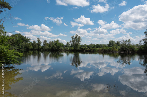 Reflection of trees and plants the blue sky and clouds in the lake © Farantsa