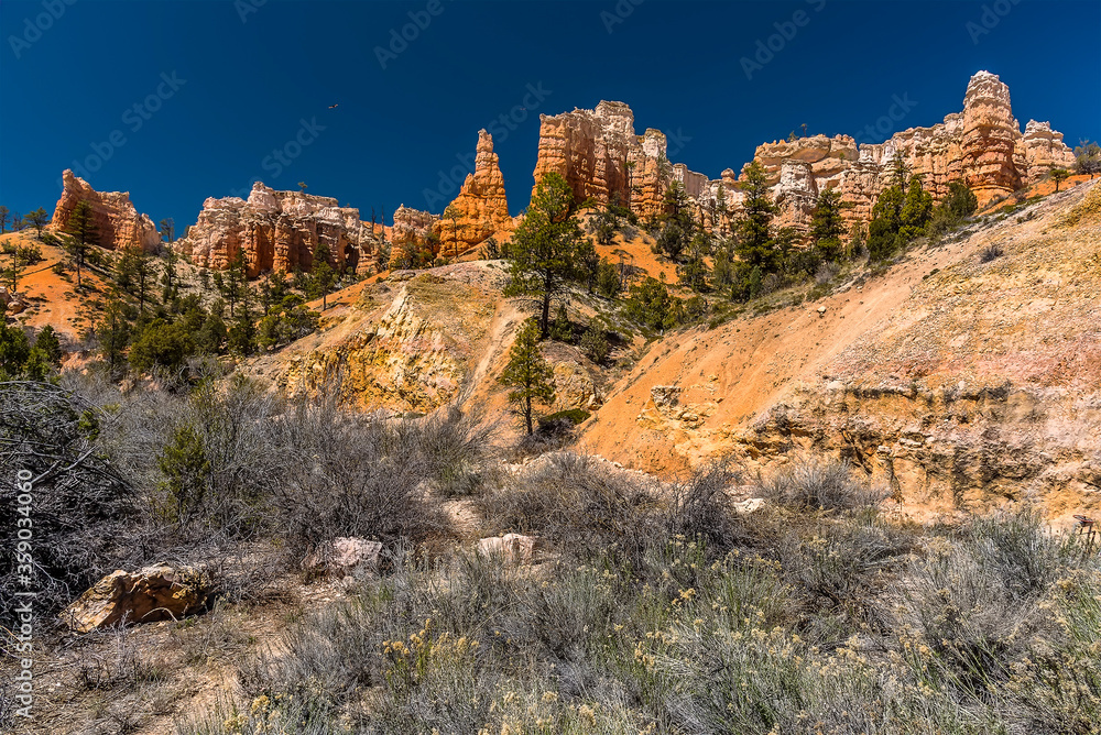 A view of hoodoos on the outskirts of Bryce Canyon, Utah in Springtime