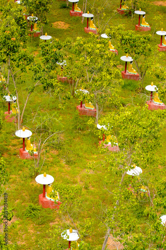 It's Maha Bodhi Ta Htaung ('a thousand great Bo trees'), a famous Buddhist region and monastery, Monywa Township, Sagaing Area, Myanmar (Burma) photo