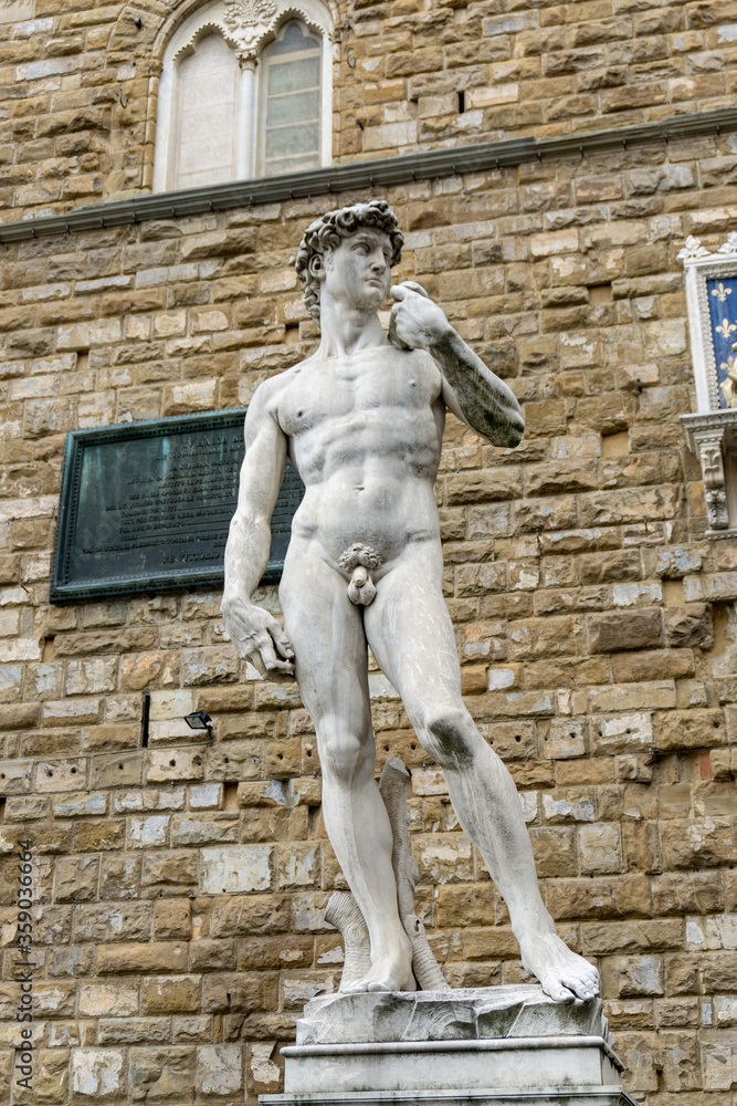 Replica of David of Michelangelo located in Piazza della Signoria