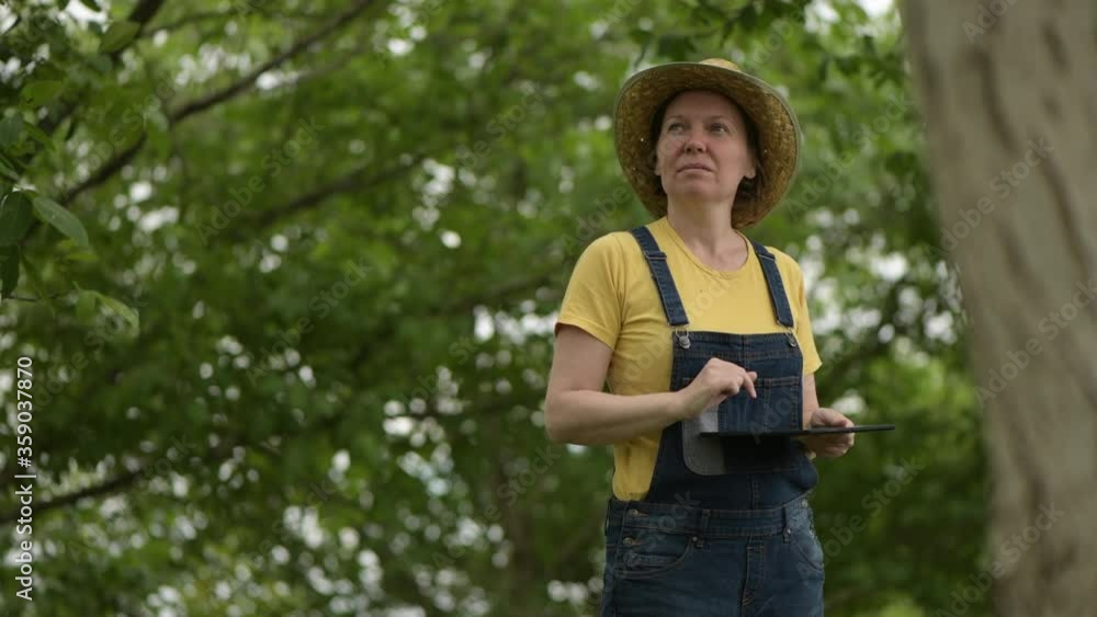 Female farmer using digital tablet in walnut orchard, innovative technology in organic farming Female farmer using digital tablet in walnut orchard, innovative technology in organic farming