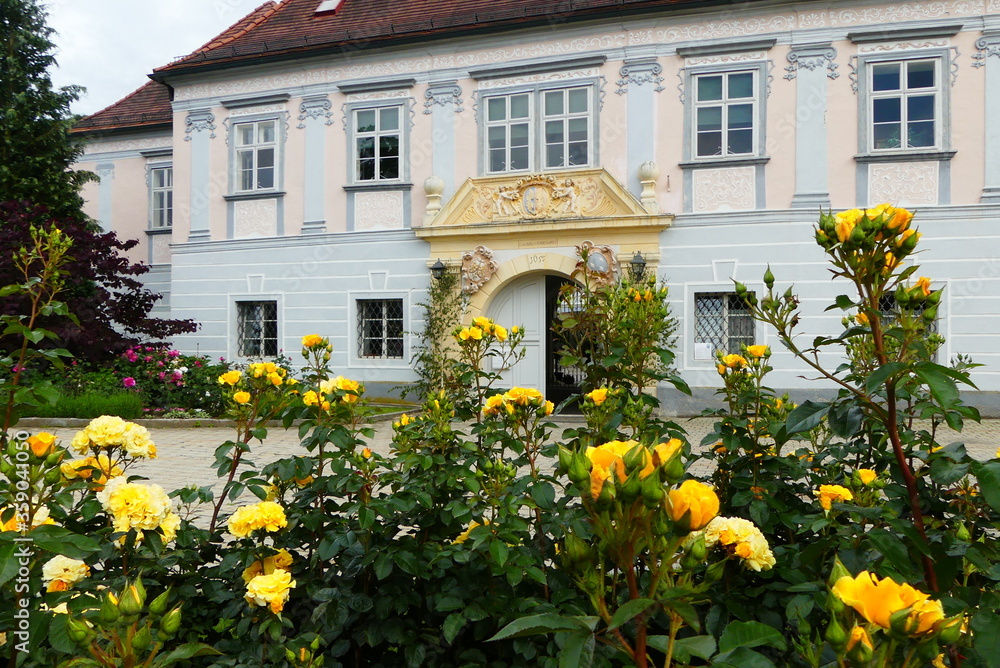 Rosen im Schlossgarten