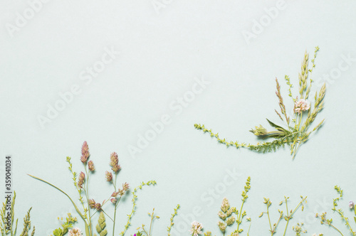 different wild flowers on paper background