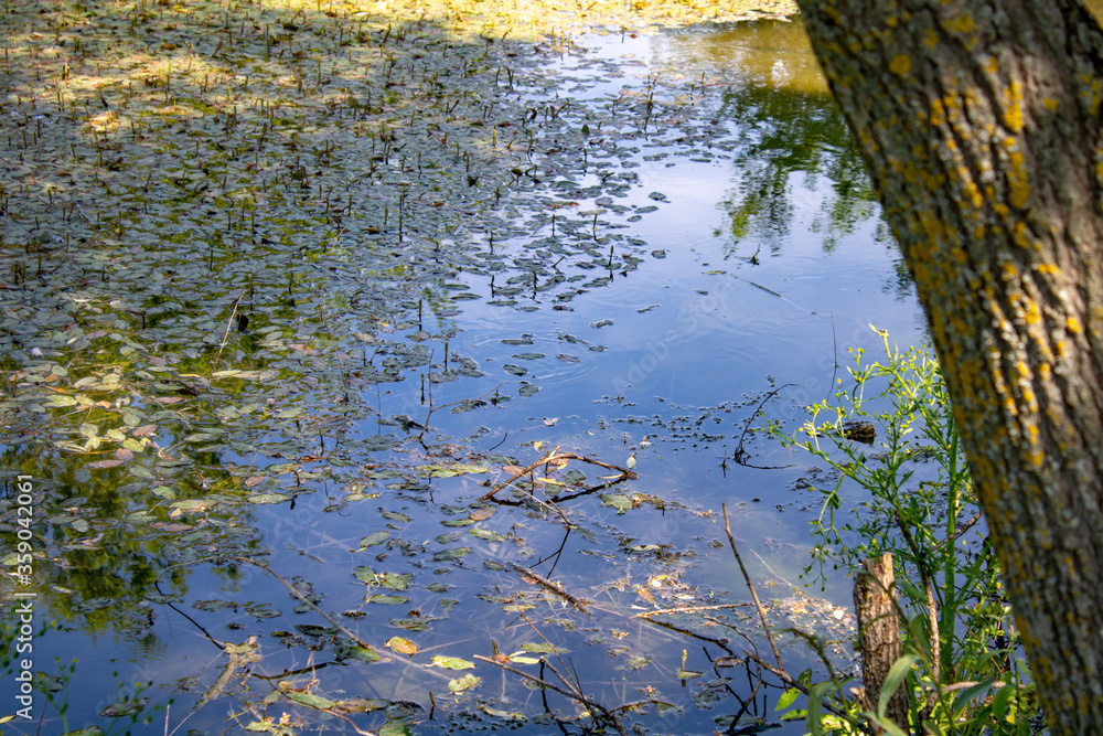 Lake with pure healing water at the Holy Source of St. Nicholas the Wonderworker. Lake with pure healing water at the Holy Source of St. Nicholas the Wonderworker.