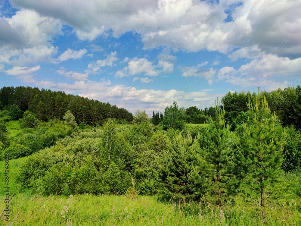 blue sky with wonderful clouds over open fields with green grass and trees on a sunny day blue sky with wonderful clouds over open fields with green grass and trees on a sunny day