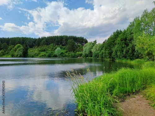 beautiful landscape on the bank of a pond among green grass and trees against a blue cloudy sky