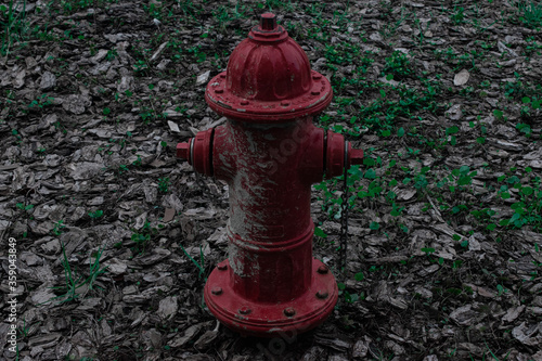 Wallpaper Mural old red fire hydrant Torontodigital.ca