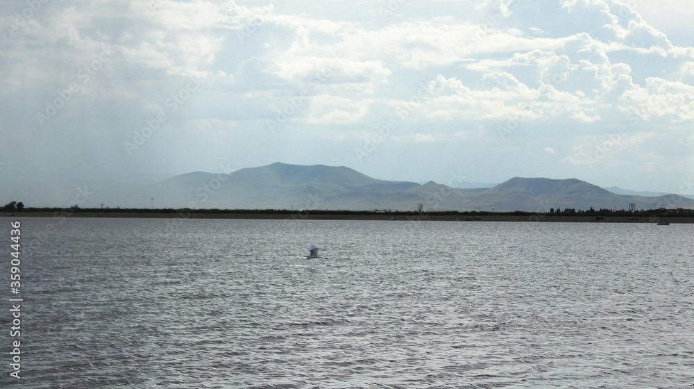 Laguna Fierro visitada por aves migrantes.