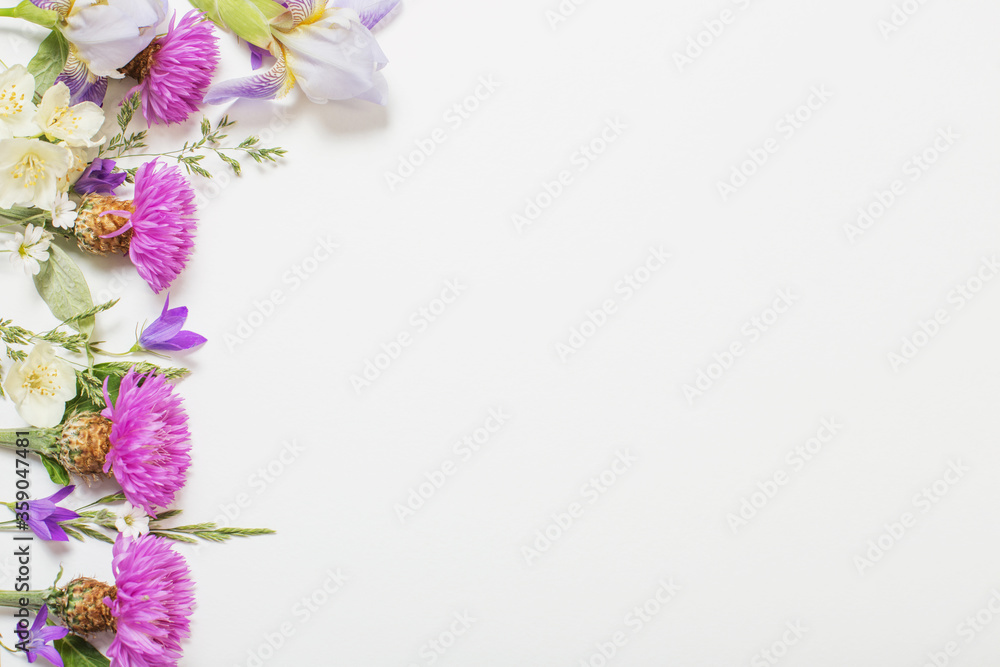purple summer flowers on white background