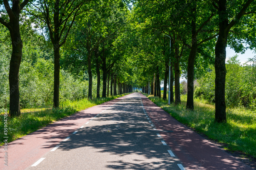 Dutch road between villages, transportation in Netherlands for cars and bicycles