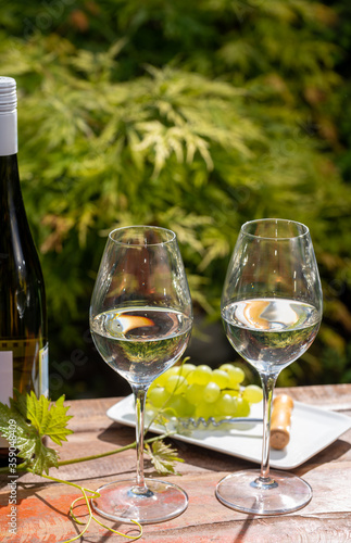 Quality wine tasting on winery in Mosel wine redion in Germany, two glasses and one bottle of riesling white wine served outdoor in sunny day