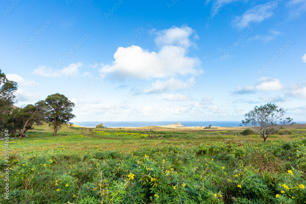 Naklejka premium Road in Easter Island, Rapa Nui. Chile.