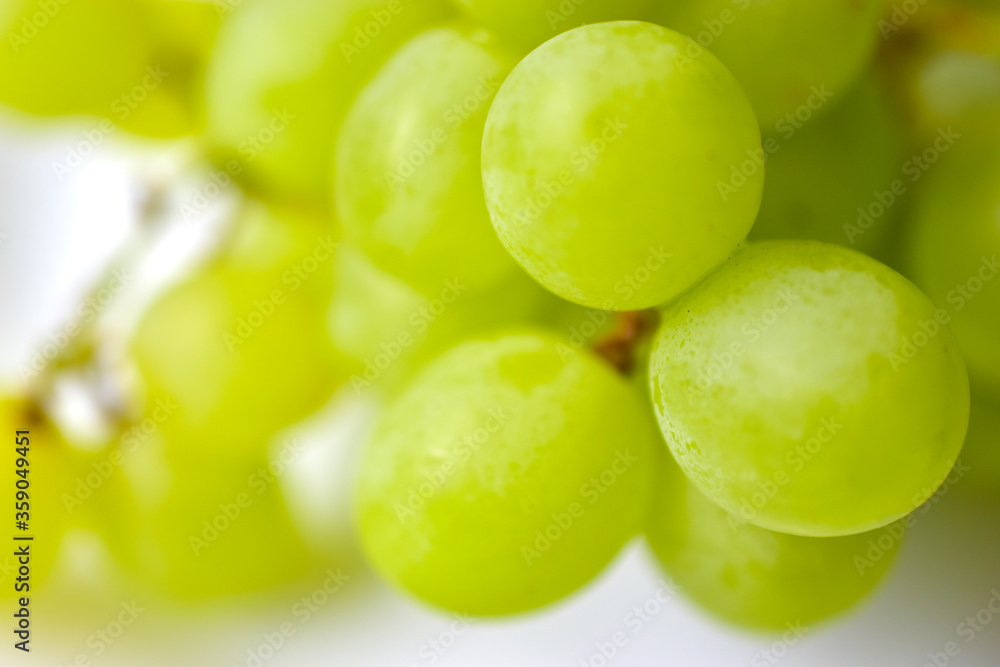 Green ripe grapes macrophotography on a white background Green ripe grapes macrophotography on a white background