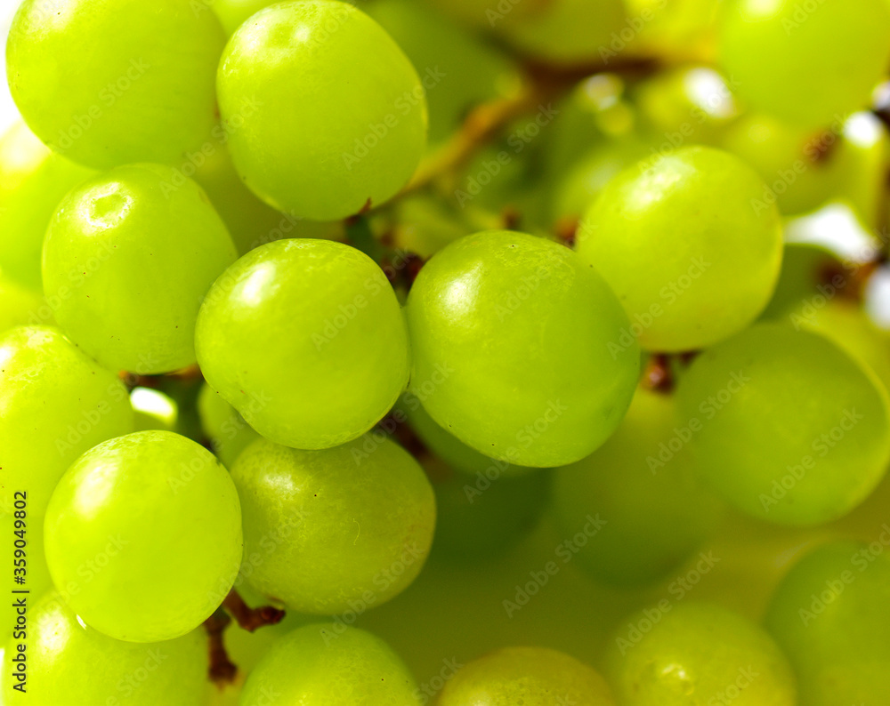 Green ripe grapes macrophotography on a white background Green ripe grapes macrophotography on a white background