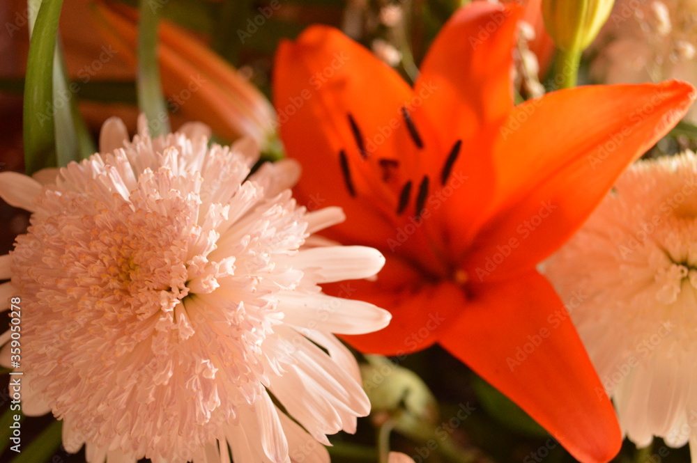 Close-up of a white chrysanthemum and an orange lily in beautiful flower arrangement