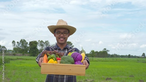 Happy Asian farmer showing vegetables in woodbox photo