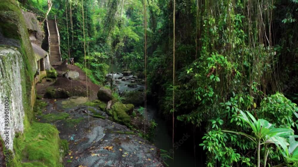 jungle to a cliff on a high mountain with a rock river and green trees jungle to a cliff on a high mountain with a rock river and green trees