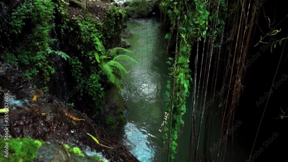 jungle to a cliff on a high mountain with a rock river and green trees jungle to a cliff on a high mountain with a rock river and green trees