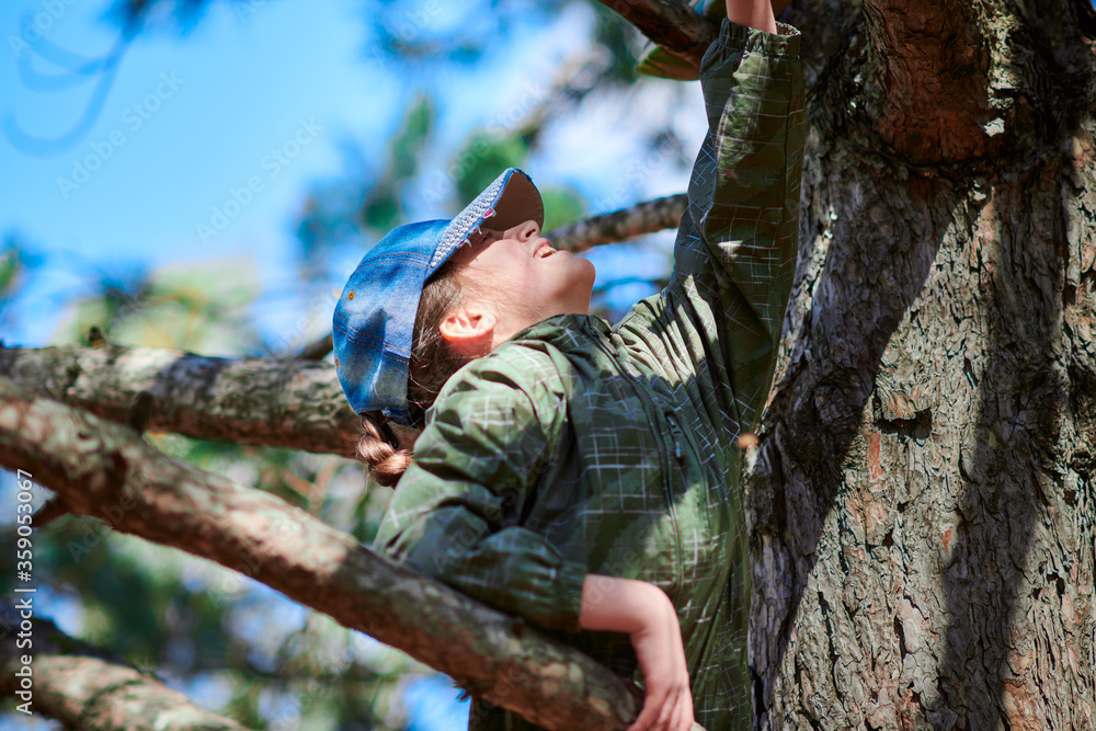 Girl playing outdoor, climbing a tree, bright sunlight, beautiful day Girl playing outdoor, climbing a tree, bright sunlight, beautiful day