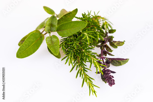 herbs fresh from the garden - boquet of thyme, sage, basil