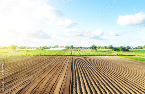 Farm field is half prepared Ridges and mounds for planting. Marking the field in rows. Agricultural technology and standardization. Organization and systematization. Beautiful landscape of plantation.