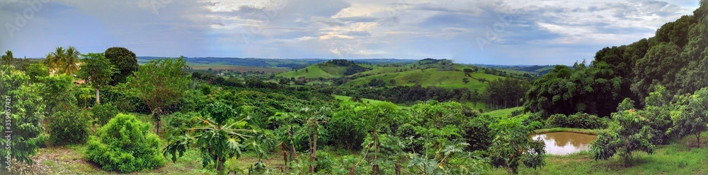Obraz premium landscape with grass and sky