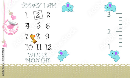 baby shower milestones blanket