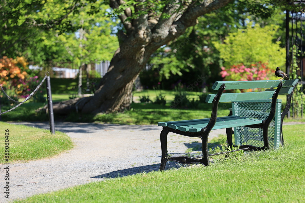 Empty sexy benches in public gardens in Halifax.