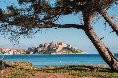 Citadel of Calvi in Corsica photo