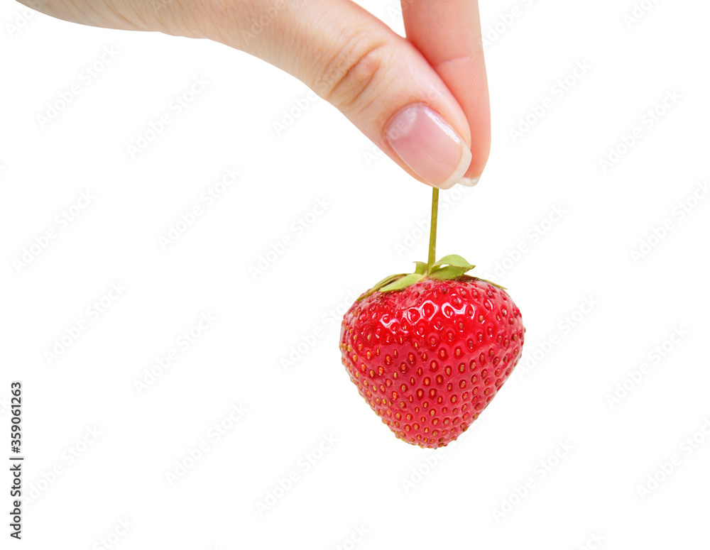Obraz premium Sensual female hand holding a strawberry.