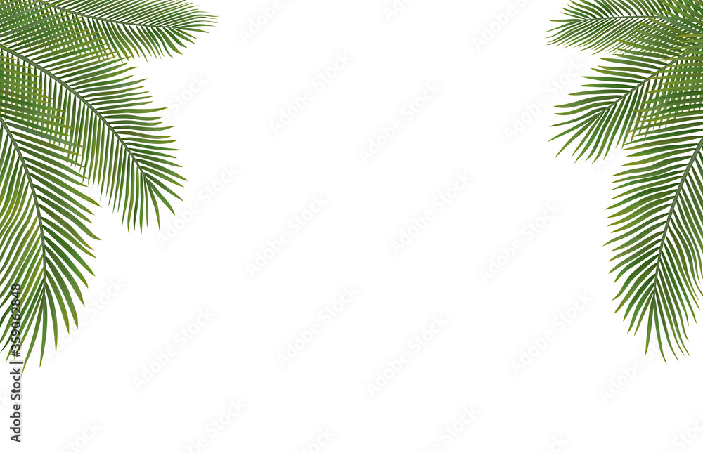 Copyspace Template with Palm Leaves