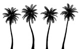 Realistic Palm Tree Silhouettes, Trunk and Leaves are Isolated from Each Other, Set 2
