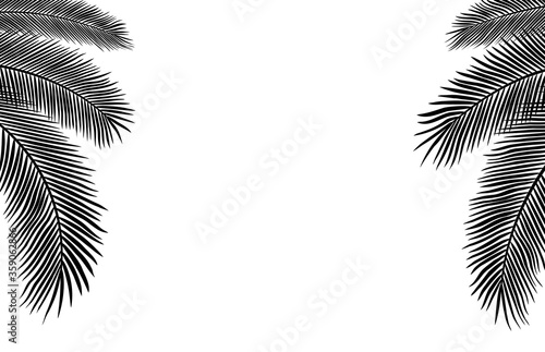 Copyspace Template with Palm Leaves Silhouettes
