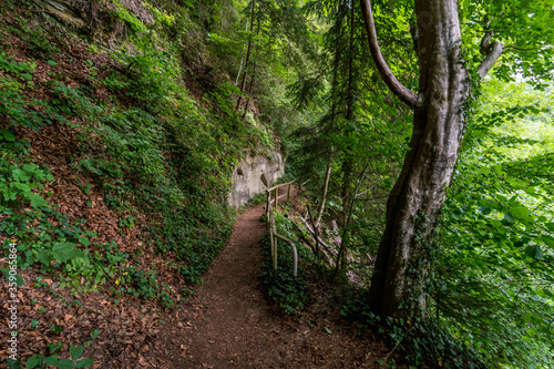 Nature reserve Aachtobel