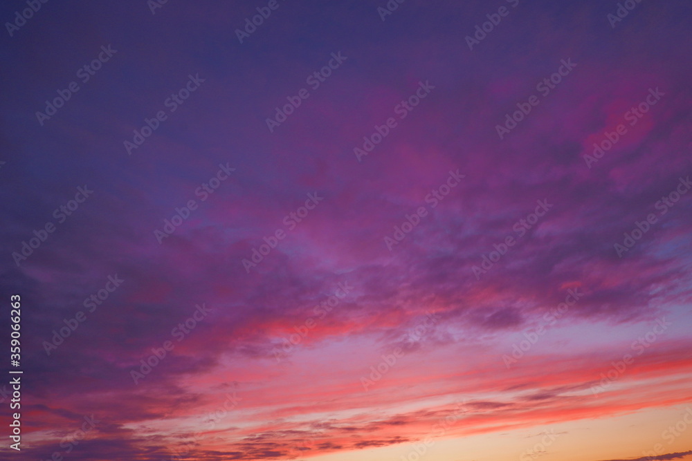 beautiful purple-pink summer sunset