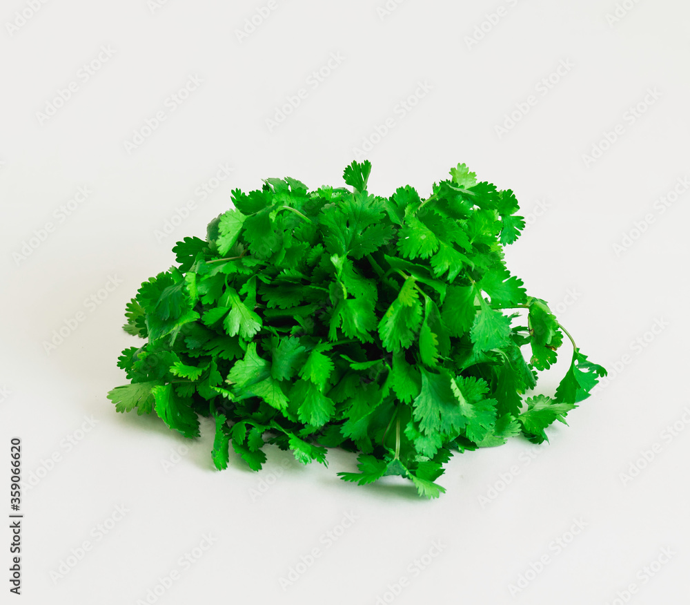 Obraz premium GREEN PARSLEY
