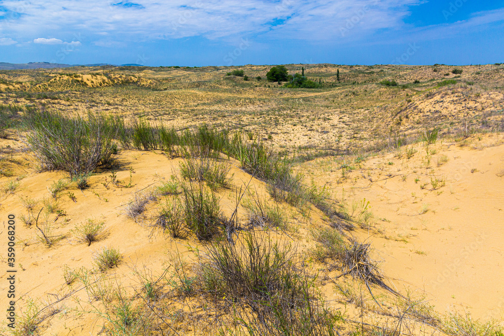 Naklejka premium Sarykum (the largest sand dune in Eurasia) in Dagestan Nature Reserve near Makhachkala city, Russia