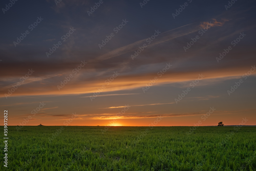 Beautiful sunset on a meadow on a summer evening