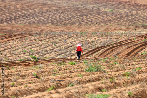 Farm Worker in the middle of a large agricultural field.