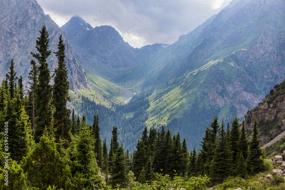 Fototapeta premium Karakol river valley in Kyrgyzstan
